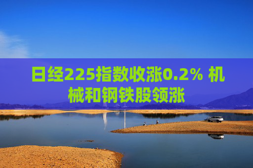 日经225指数收涨0.2% 机械和钢铁股领涨