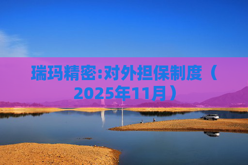 瑞玛精密:对外担保制度（2025年11月）  第1张