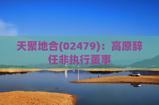 天聚地合(02479)：高原辞任非执行董事