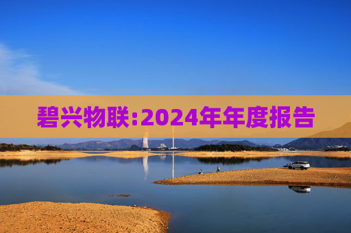 碧兴物联:2024年年度报告  第1张