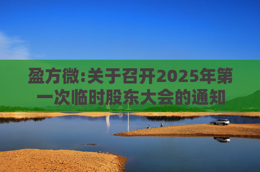 盈方微:关于召开2025年第一次临时股东大会的通知