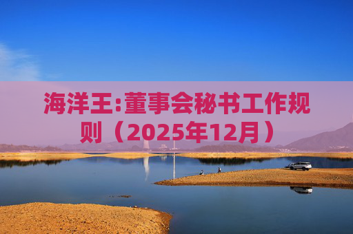 海洋王:董事会秘书工作规则（2025年12月）  第1张