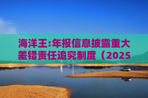 海洋王:年报信息披露重大差错责任追究制度（2025年12月）