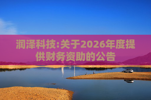 润泽科技:关于2026年度提供财务资助的公告