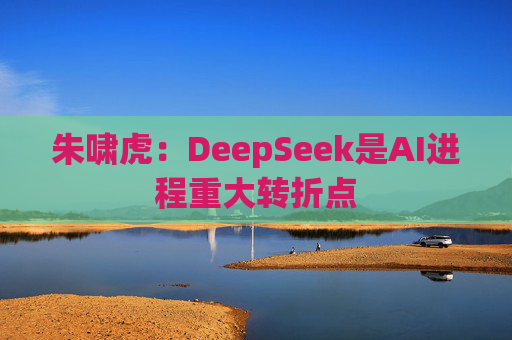 朱啸虎：DeepSeek是AI进程重大转折点