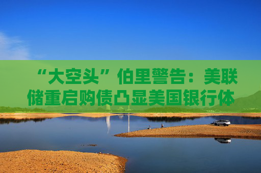 “大空头”伯里警告：美联储重启购债凸显美国银行体系脆弱