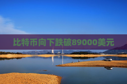 比特币向下跌破89000美元
