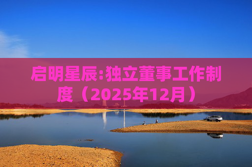 启明星辰:独立董事工作制度（2025年12月）