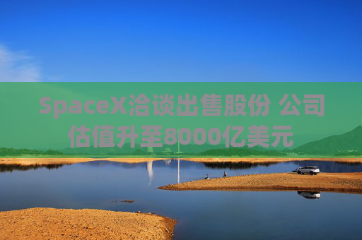 SpaceX洽谈出售股份 公司估值升至8000亿美元