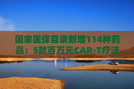 国家医保目录新增114种药品：5款百万元CAR-T疗法纳入商保，企业代表直呼这是“重要里程碑”