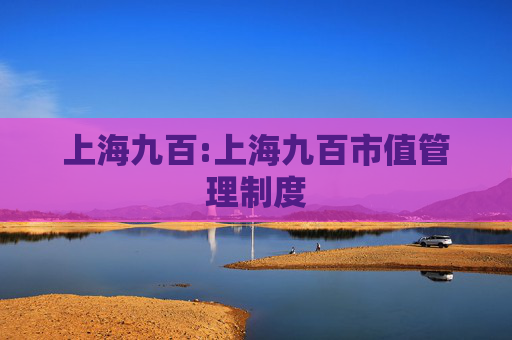 上海九百:上海九百市值管理制度