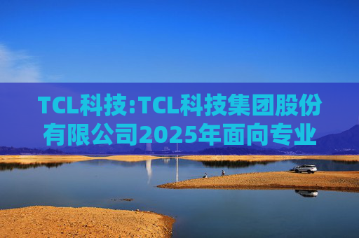 TCL科技:TCL科技集团股份有限公司2025年面向专业投资者公开发行科技创新公司债券（数字经济）（第一期）发行公告