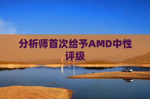 分析师首次给予AMD中性评级