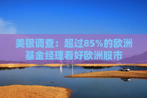 美银调查：超过85%的欧洲基金经理看好欧洲股市