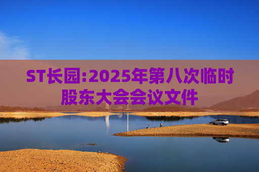 ST长园:2025年第八次临时股东大会会议文件