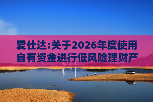 爱仕达:关于2026年度使用自有资金进行低风险理财产品投资的公告
