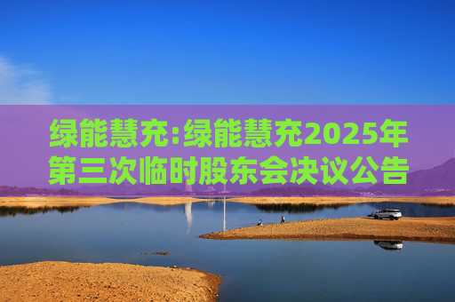 绿能慧充:绿能慧充2025年第三次临时股东会决议公告