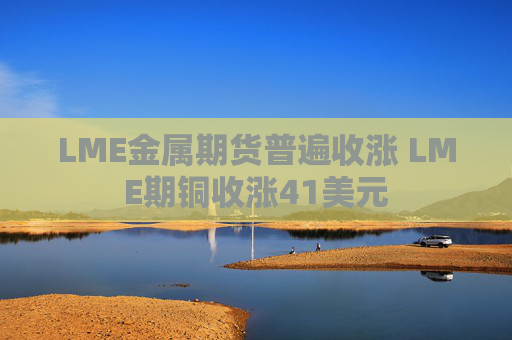 LME金属期货普遍收涨 LME期铜收涨41美元 第1张 LME金属期货普遍收涨 LME期铜收涨41美元 第1张