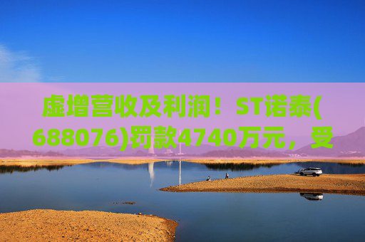 虚增营收及利润！ST诺泰(688076)罚款4740万元，受损投资者可索赔！