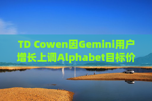 TD Cowen因Gemini用户增长上调Alphabet目标价