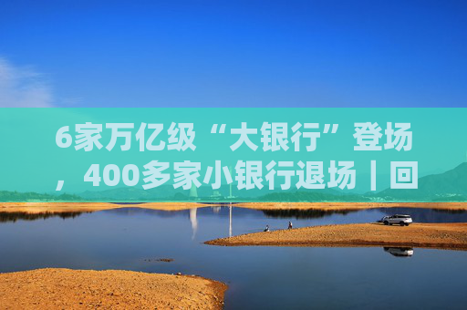 6家万亿级“大银行”登场,400多家小银行退场|回望2025