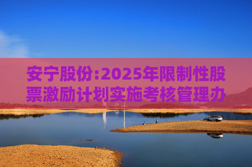 安宁股份:2025年限制性股票激励计划实施考核管理办法