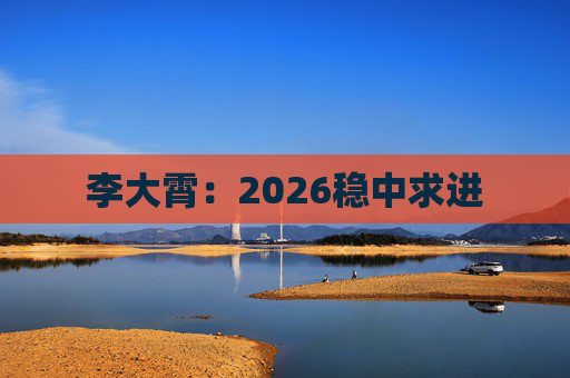 李大霄：2026稳中求进  第1张