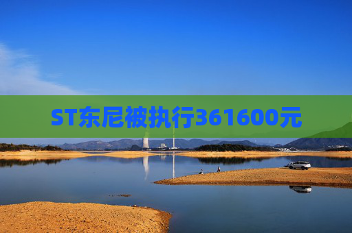 ST东尼被执行361600元