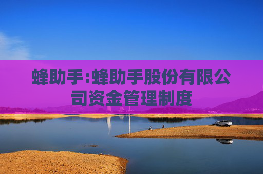 蜂助手:蜂助手股份有限公司资金管理制度