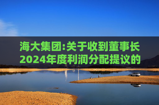 海大集团:关于收到董事长2024年度利润分配提议的公告