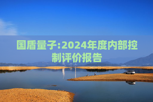 国盾量子:2024年度内部控制评价报告