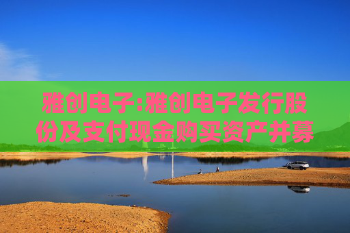 雅创电子:雅创电子发行股份及支付现金购买资产并募集配套资金报告书（草案）摘要