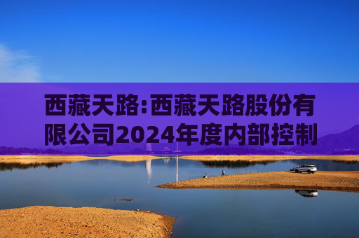 西藏天路:西藏天路股份有限公司2024年度内部控制鉴证报告  第1张