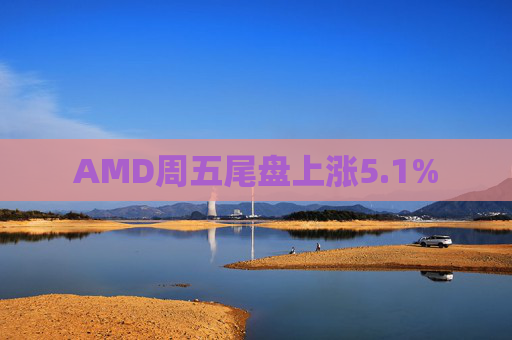 AMD周五尾盘上涨5.1%