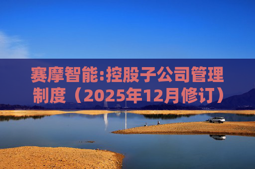 赛摩智能:控股子公司管理制度（2025年12月修订）