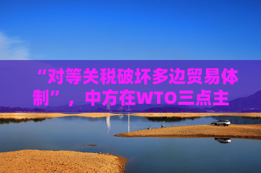 “对等关税破坏多边贸易体制”，中方在WTO三点主张发言，引发广泛呼应