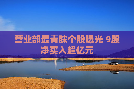 营业部最青睐个股曝光 9股净买入超亿元