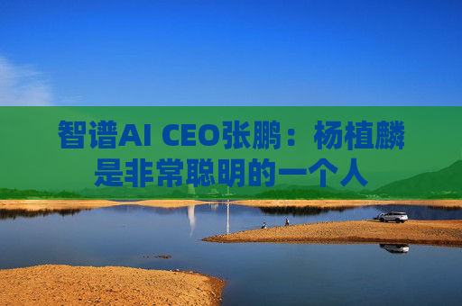 智谱AI CEO张鹏：杨植麟是非常聪明的一个人