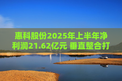 惠科股份2025年上半年净利润21.62亿元 垂直整合打造显示产业全链条优势