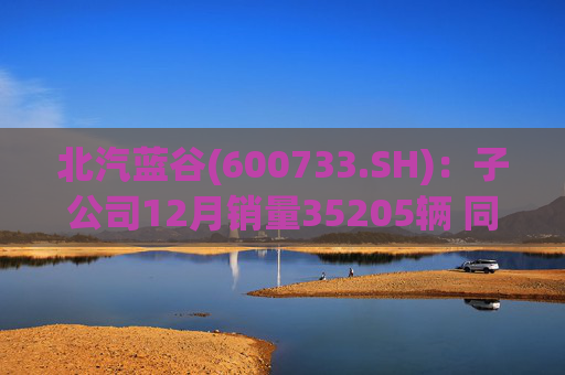 北汽蓝谷(600733.SH)：子公司12月销量35205辆 同比增长114.56%