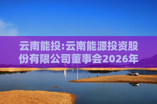 云南能投:云南能源投资股份有限公司董事会2026年第一次临时会议决议公告