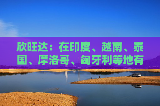 欣旺达：在印度、越南、泰国、摩洛哥、匈牙利等地有生产基地