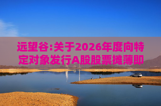 远望谷:关于2026年度向特定对象发行A股股票摊薄即期回报及填补措施和相关主体承诺的公告
