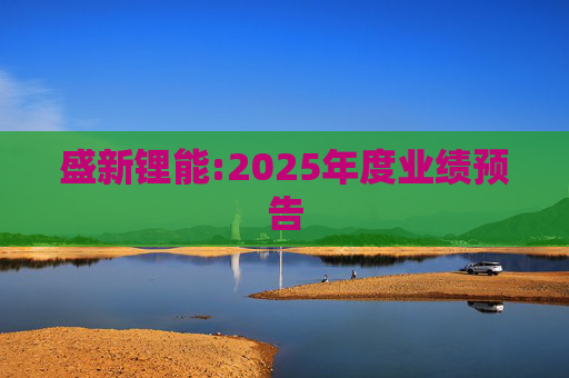 盛新锂能:2025年度业绩预告  第1张