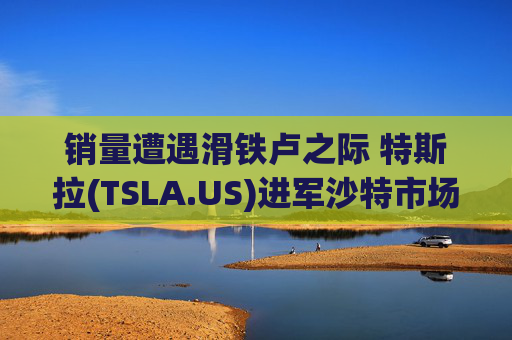 销量遭遇滑铁卢之际 特斯拉(TSLA.US)进军沙特市场