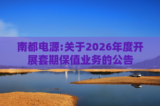 南都电源:关于2026年度开展套期保值业务的公告
