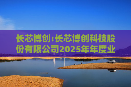 长芯博创:长芯博创科技股份有限公司2025年年度业绩预告