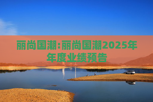 丽尚国潮:丽尚国潮2025年年度业绩预告