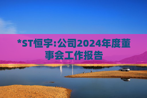 *ST恒宇:公司2024年度董事会工作报告