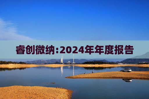 睿创微纳:2024年年度报告